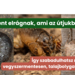 Talajlakó kártevők, amelyek mindent elrágnak