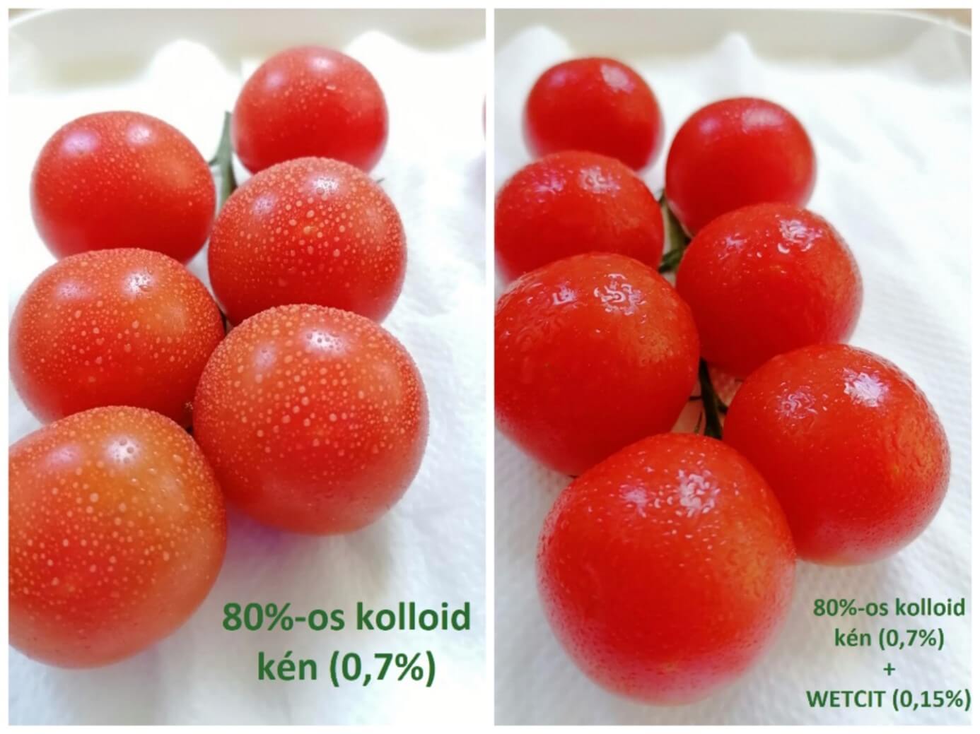 a-hatasfokozas-fontossaga-kiemelt