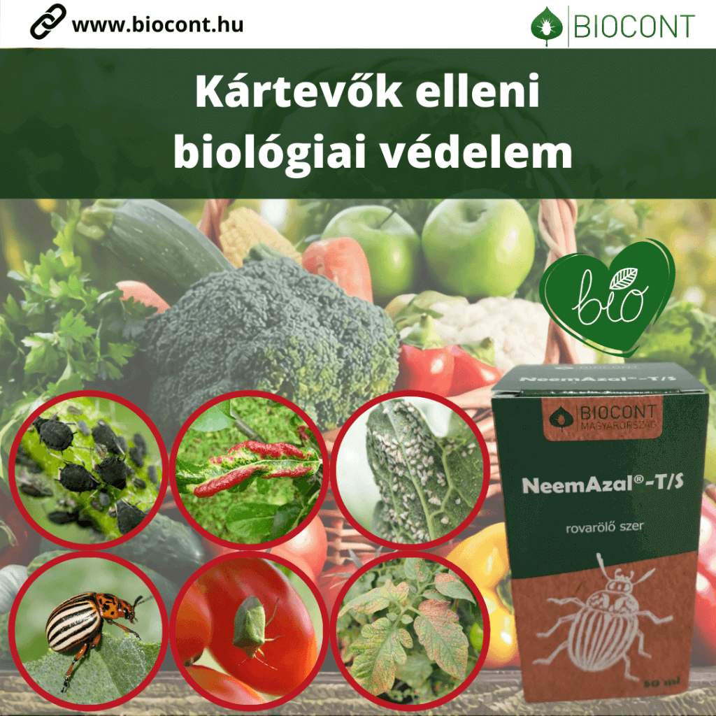 Neem Azal Neem olaj levéltetű poloska zöldség gyümölcs