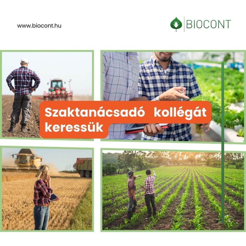 szaktanácsadót keresünk