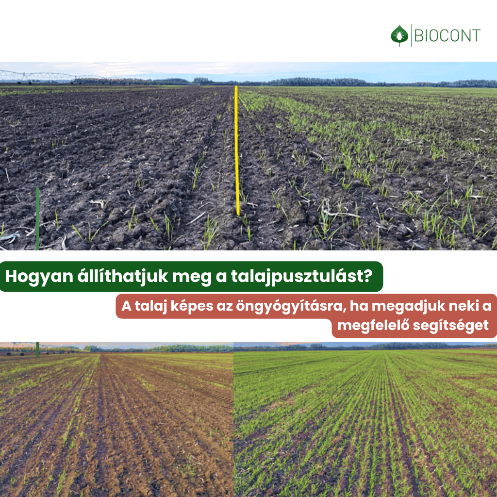 Talajpusztulás_öngyógyítás_nutrigeo_1024x1024
