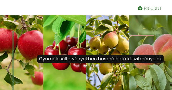 Vegyszermentes megoldások a gyümölcskultúrák növénytáplálásához és növényvédelméhez 