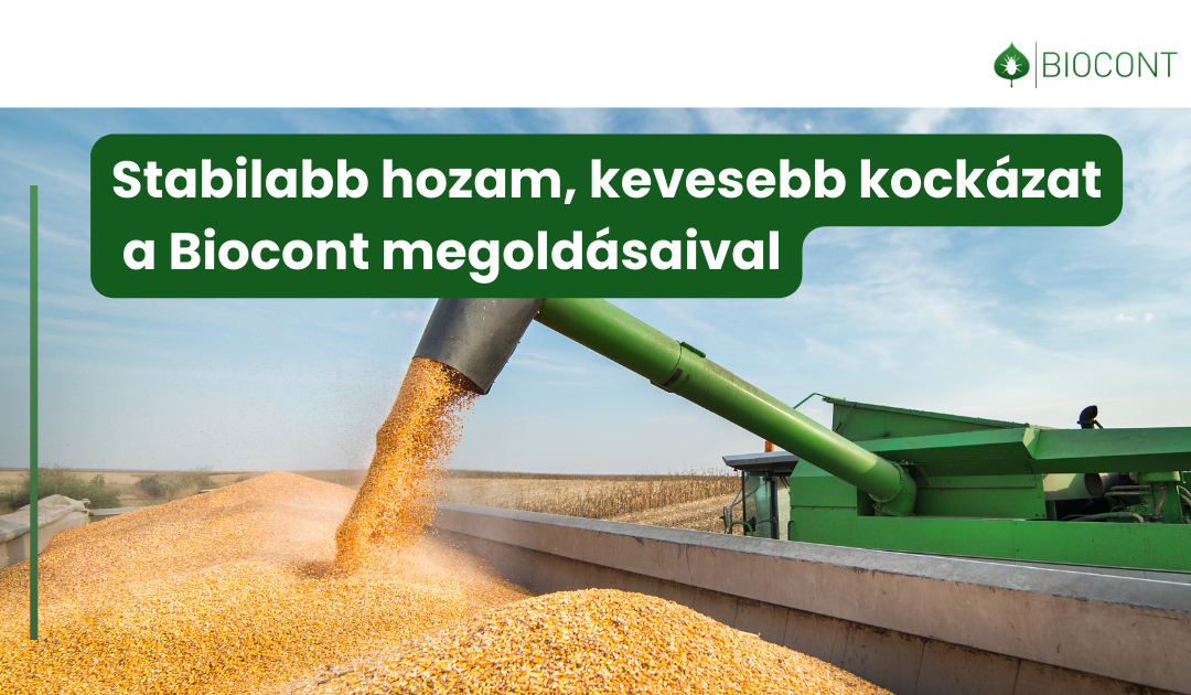 Kipróbált biológiai megoldásaink AKG, AÖP és ökológiai termesztéshez a kiegyensúlyozott és biztos kukoricatermésért