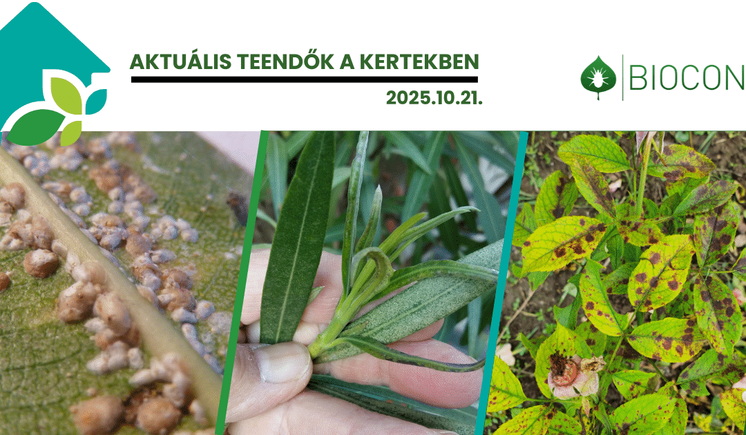 Őszi kertvédelem – így előzd meg a vadkárt és a téli fertőzéseket