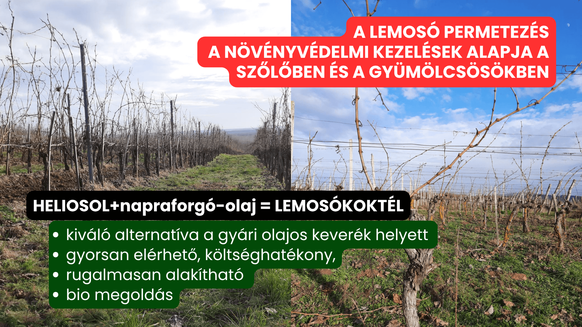 Heliosol-napraforgó olaj lemosó koktél permetezés