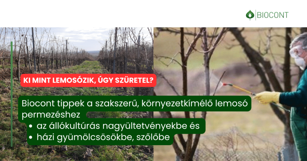 Lemosó permezés kora tavasszal szőlőben és fás ültetvényekben