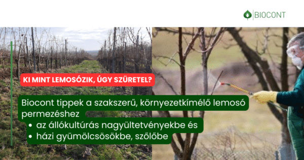 Tavaszi lemosózás szerepe az ültetvényekben (szőlő, gyümölcs, bogyósok) | A lemosó permetezés stratégiai jelentőségű növényvédelmi beavatkozás