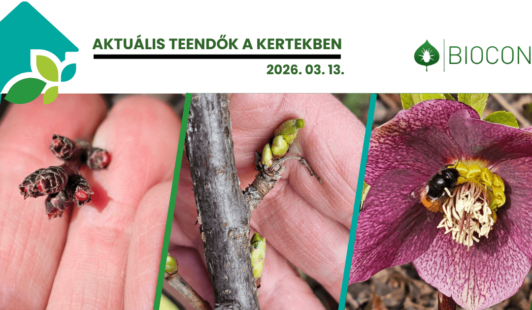 Megérkezett a tavasz – ideje a gyümölcsfák lemosó permetezésének