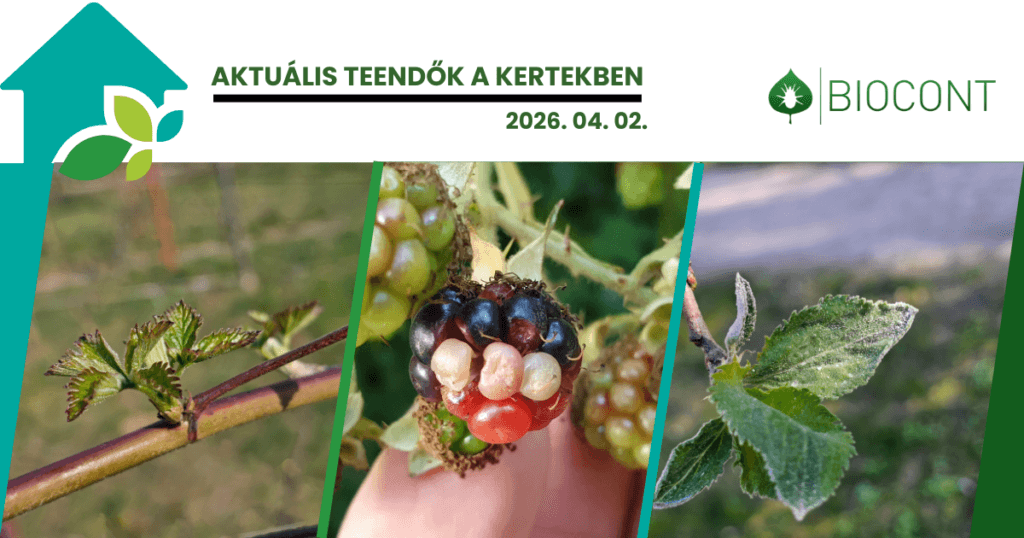 0_Weboldal_socialsharing_1200 x 630 (3)