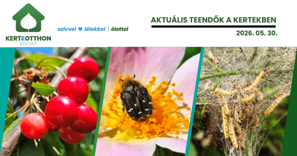 0_Weboldal_socialsharing_1200 x 630 (12)