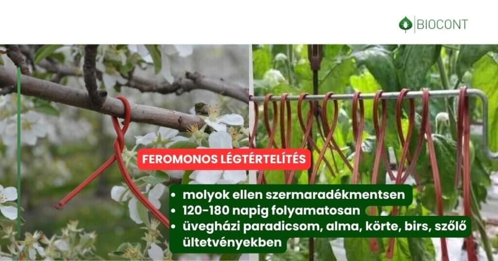 20260310_feromonos légtértelítés_Biocont_soc