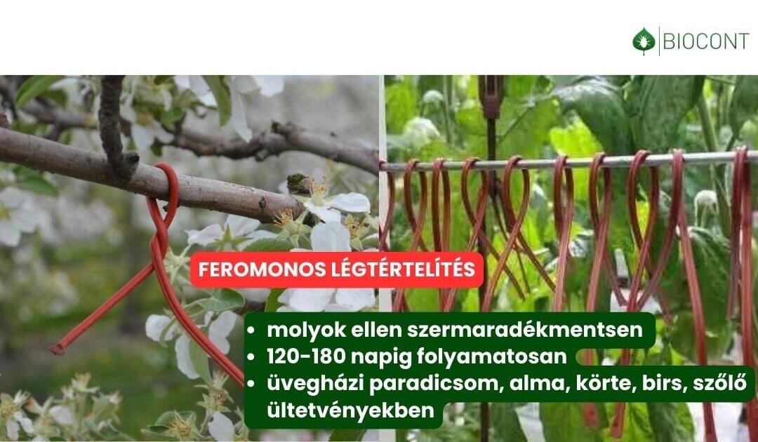 Feromonos légtértelítés