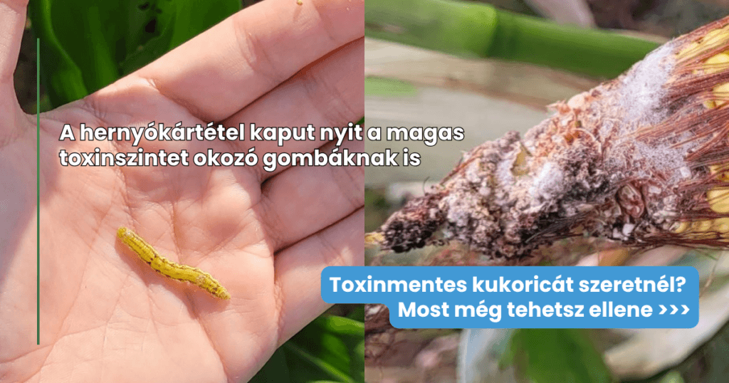 socialsharing_1200 x 630