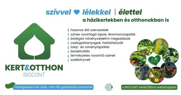 Szívvel, lélekkel, élettel – a kertedben és az otthonodban is