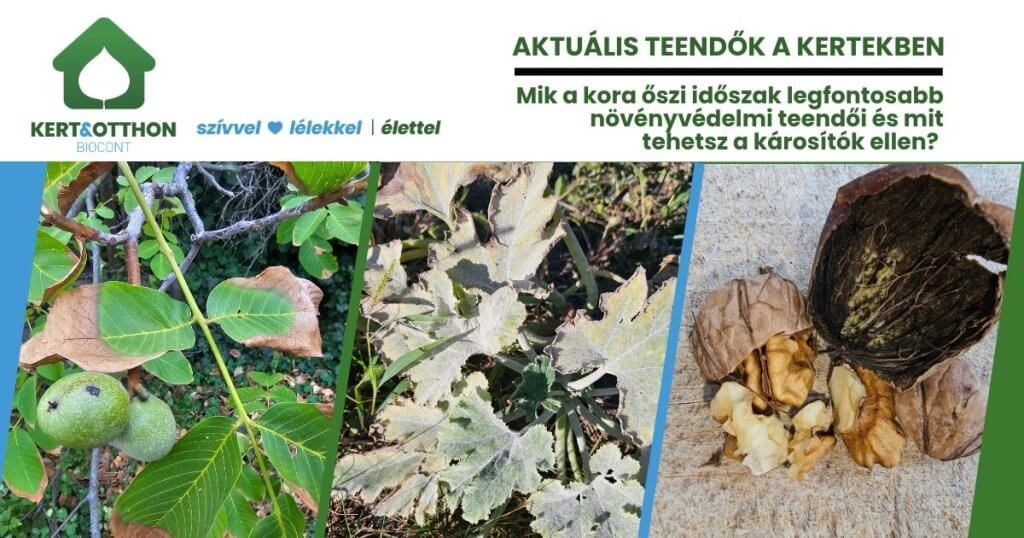 őszi lombtrágyázás
