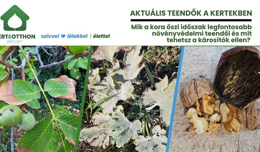 Mik a kora őszi időszak legfontosabb növényvédelmi teendői és mit tehetsz a károsítók ellen? – 2026. évi 21. felhívás