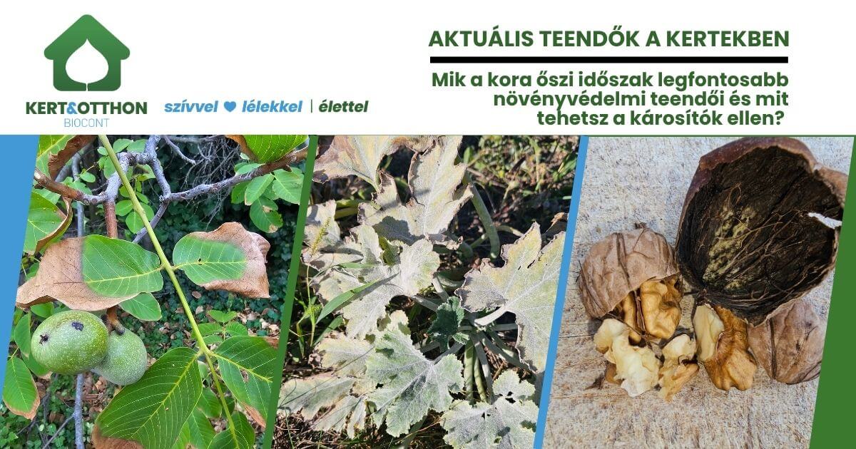 Mik a kora őszi időszak legfontosabb növényvédelmi teendői és mit tehetsz a károsítók ellen – 2026 évi 21 felhívás őszi lombtrágyázás