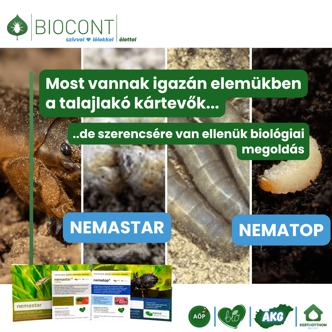 hangyairtó, csótányirtó, madártetű atka irtó bio készítmény