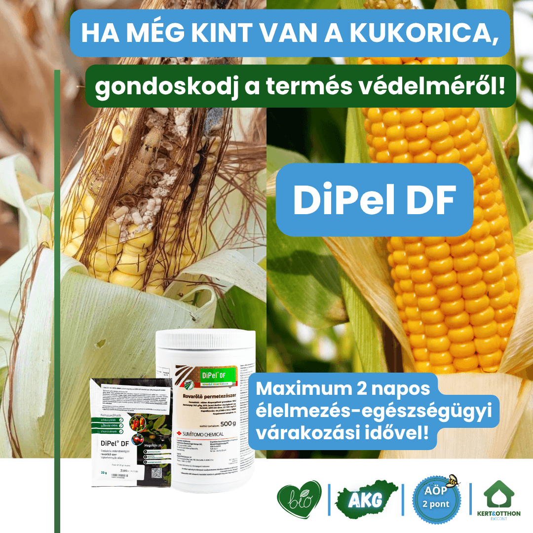 SOCIAL MEDIA__INSTA_45 (4) Dipel_gyapottokbagolylepke_kukorica