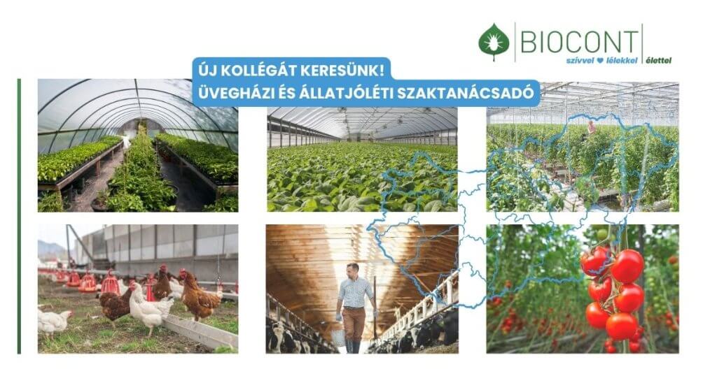 Üvegházi és állatjóléti szaktanácsadó kollégát keresünk