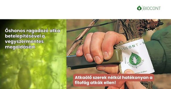 Atkaölő szerek nélkül hatékonyan a fitofág atkák ellen, őshonos ragadozó atkákkal!
